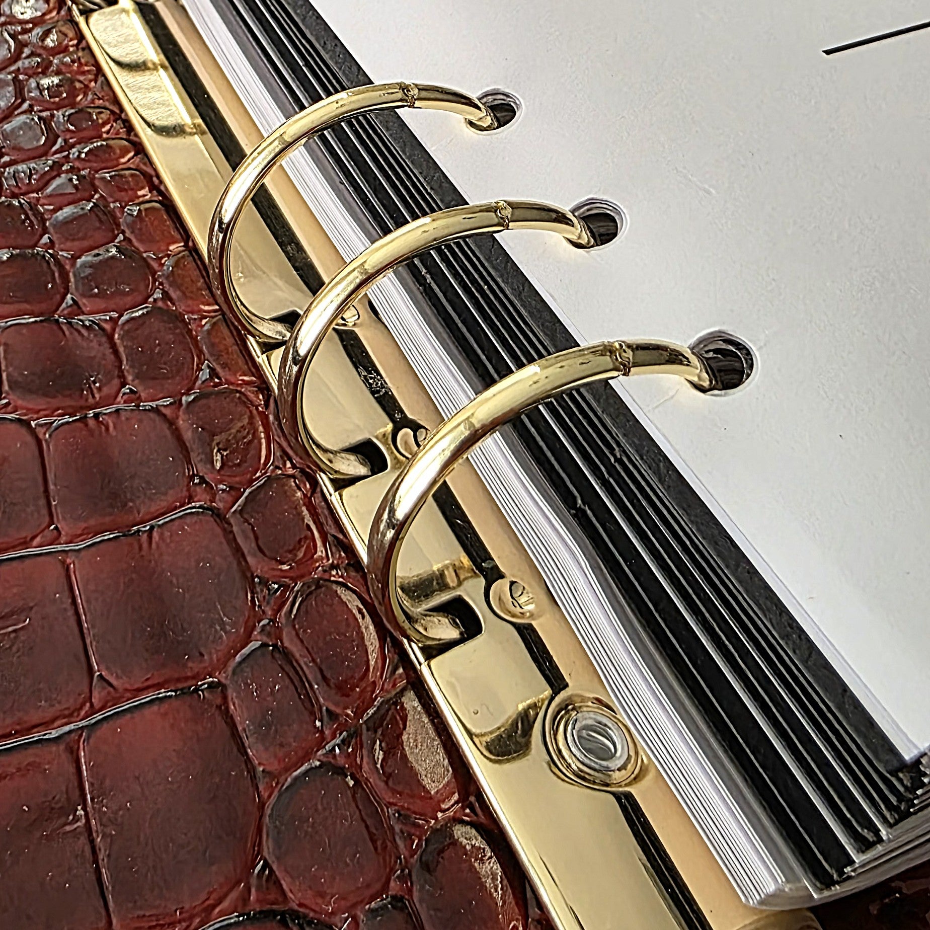 Creme A5 Planner | Large