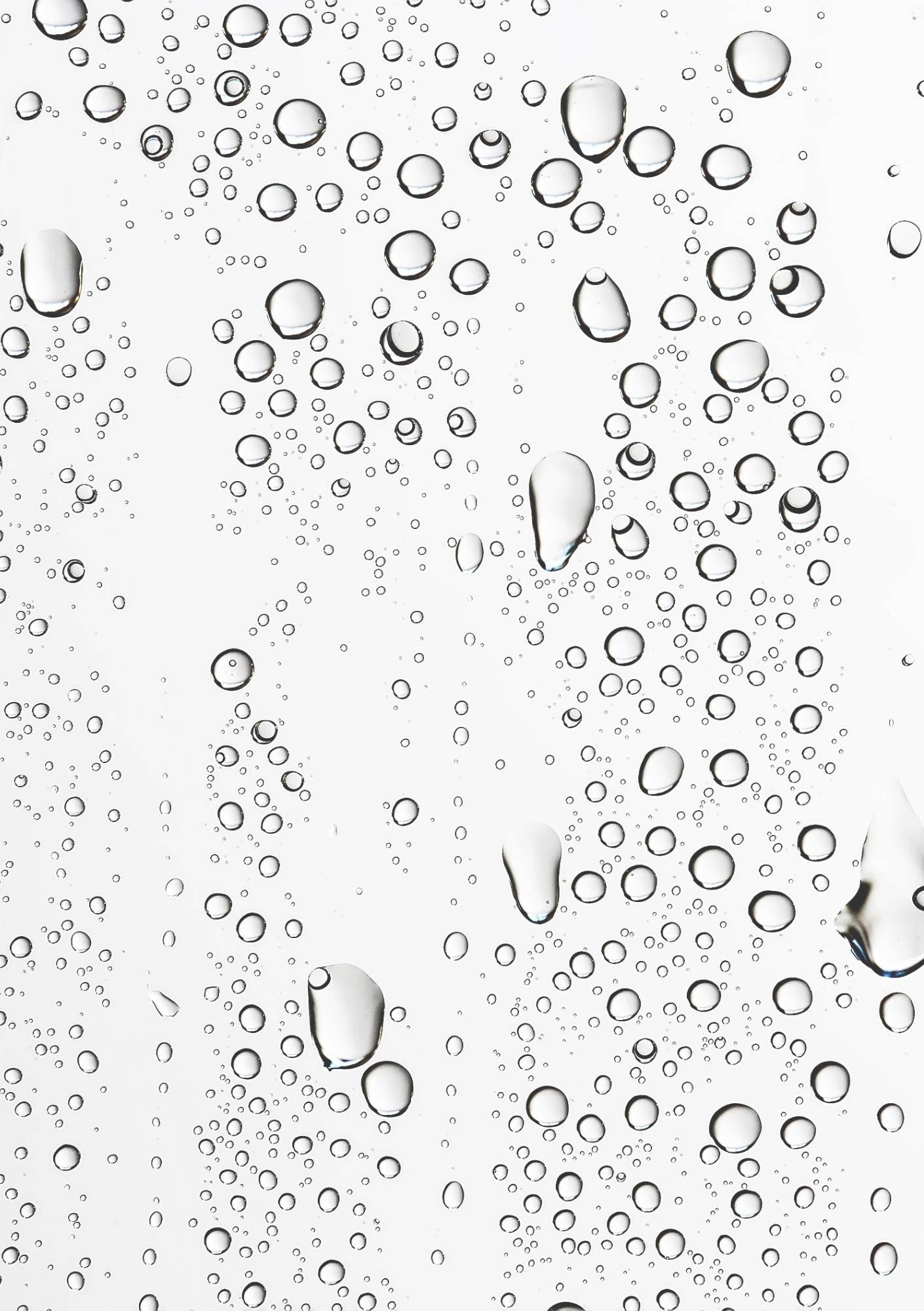 Phoenix Rising Dashboard Collection